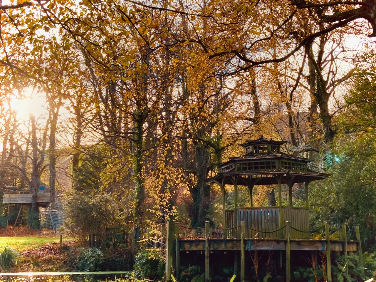 Tree being pruned safely